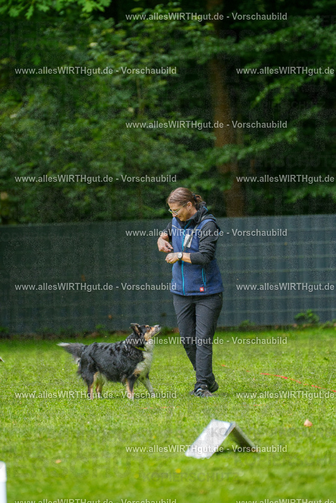 @allesWIRTHgut_Tierfotografie - www.allesWIRTHgut.de - 7R501987 | Professionelle Tierfotografie in Mönchengladbach von Daniel Wirth (allesWIRTHgut). Liebevolle & natürliche Bilder von Hunden & Katzen für unvergessliche Erinnerungen.