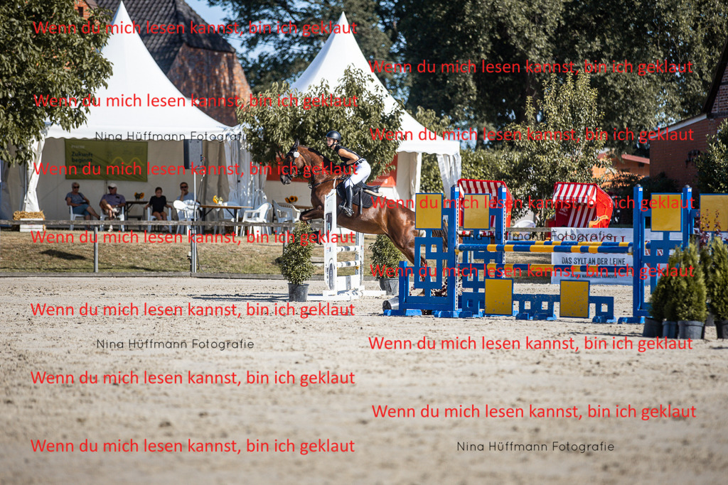 BK1A7292 | Turnierbilder Turnierfotos Nina Hüffmann Turnierfotografie Pferdefotografie Tierzeichnung Haustierzeichnung Pferdezeichnung Hundezeichnung Videograf  - Realisiert mit Pictrs.com