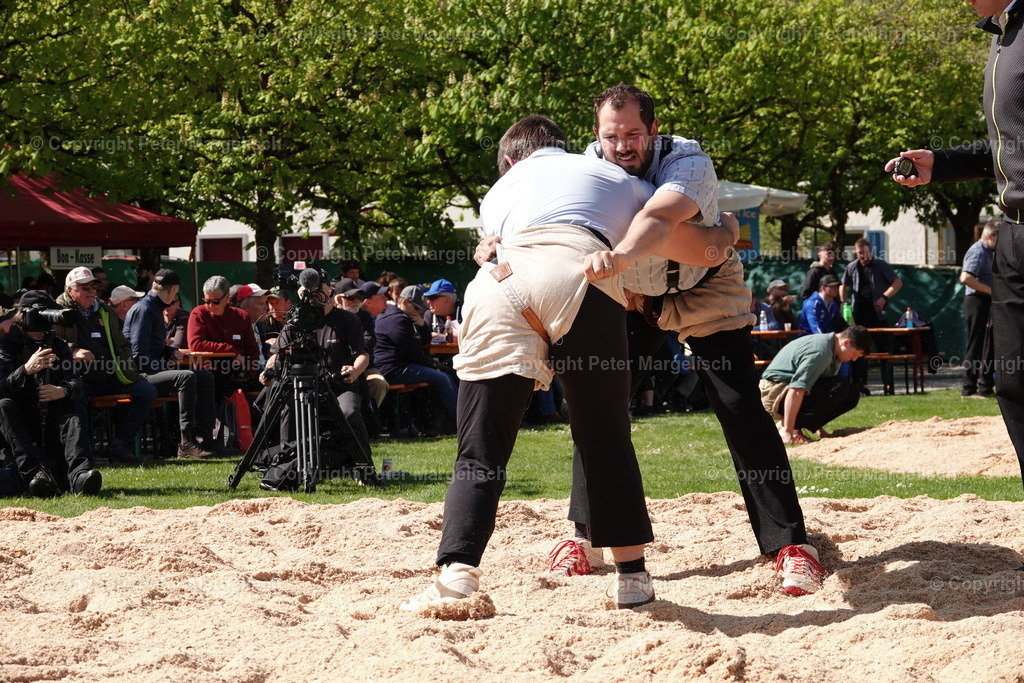 DSC00523 | Schwingen - Realisiert mit Pictrs.com