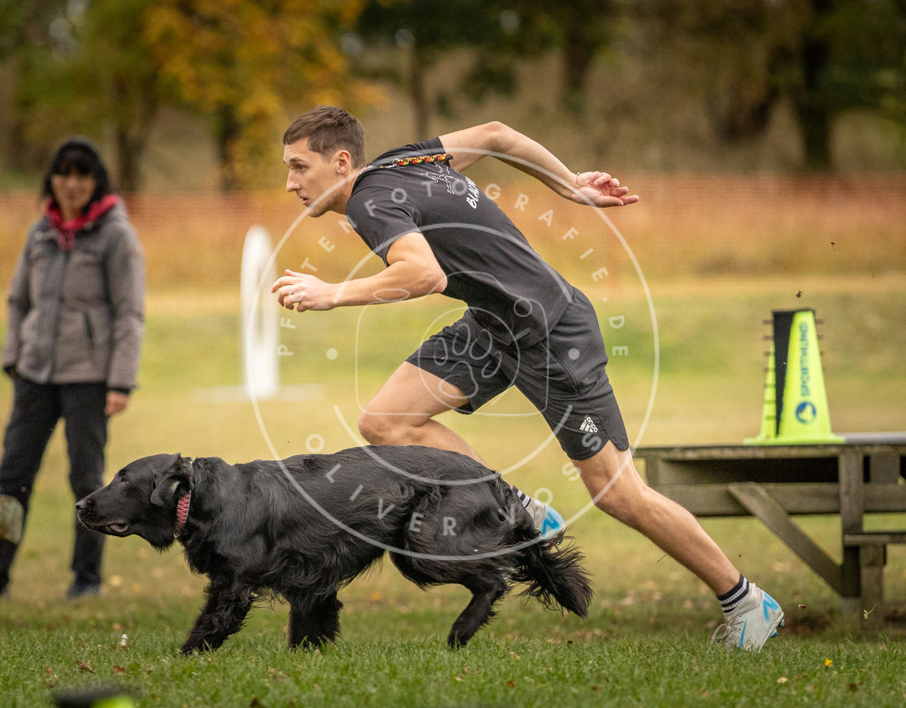 Pfotenfotografie_DV3A7657 | Hundefotografie, Tierfotograf, Pfotenfotografie, Fotoshooting Hund, Hunde Portrait, Hundesport, Hundeportraits, Heideshooting, Hunde, Sportfotograf, Hundefotograf, Turnierhundsport, THS,  - Realisiert mit Pictrs.com