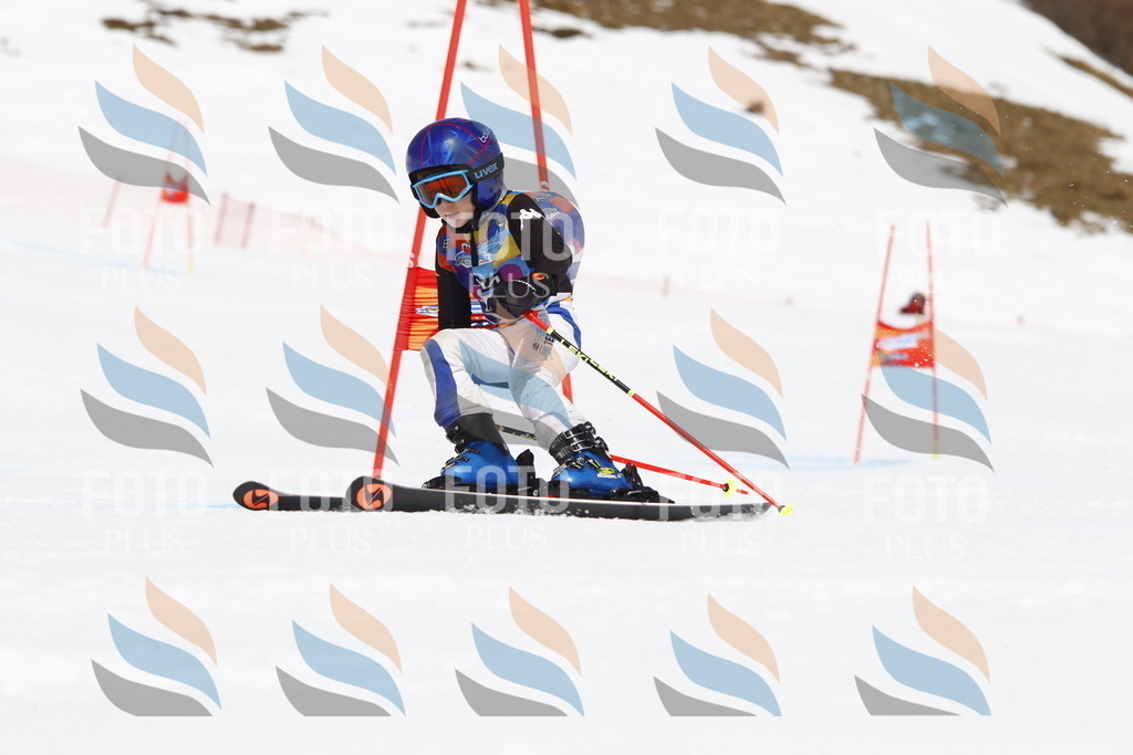 _U3G6152 | holidayphoto