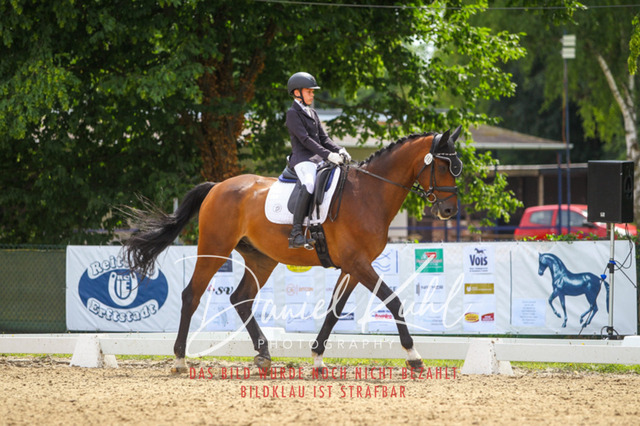 DKP42225 | Turniersportfotografie; Pferdefotografie; Dressurfotografie