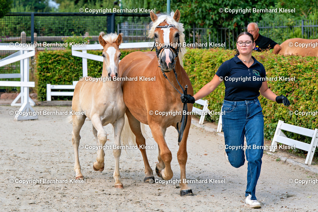 2A909488 | foto-team-bernhard - Realisiert mit Pictrs.com