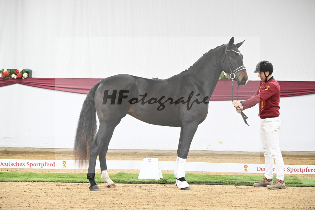 Kat-Nr. 31 In My Mind x Fidertanz_Uwe Kraft_47251037 | hf-fotografie - Realisiert mit Pictrs.com