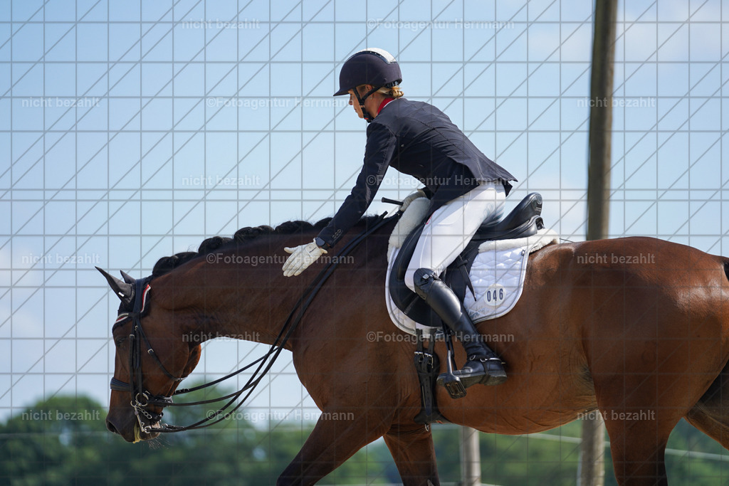 20230826-FAH06047 | Forstinning, 2023, Dressurturnier, Turniersportbilder, Turnierfotografen Bayern, Fotoagentur Herrmann, Reitsportfotografie, Turnierbilder