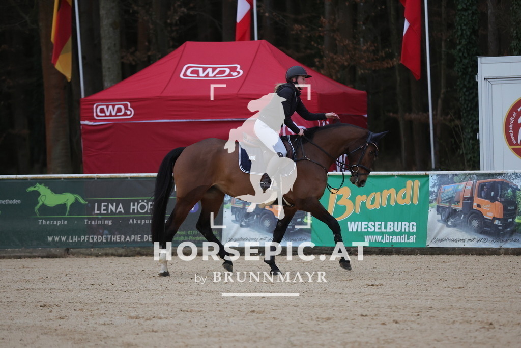 0P6A9205 | Willkommen bei Brunnmayr - Design & Fotografie – Ihrem Spezialisten für Reitturniere und Pferdeveranstaltungen in Oberösterreich, Salzburg und Bayern! Seit über 17 Jahren sind wir leidenschaftlich dabei.