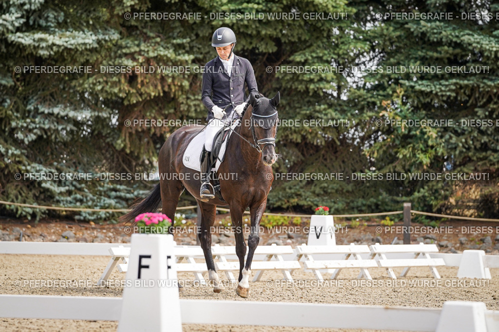 DSC00137 | Pferdegrafie