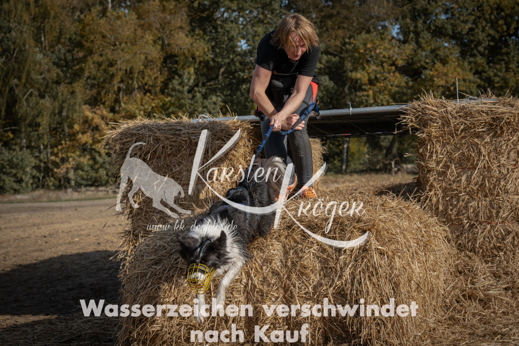 1141_ZZ92521 | kk-dogfotos