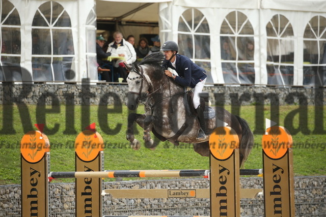 Villingendorf_2022_Prfg.Nr.08_zwei Phasen_Springprfg.Kl.M_Youngster_Marian Müller_Coupe (6) | Alle Fotos der Reiterjournal Fotografin Doris Matthaes im Reiterjournal Online-Fotoshop. - Realisiert mit Pictrs.com