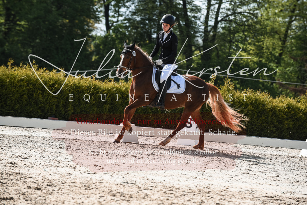 20230518_JK-Röhrsdorf-09-1538 | Pferde- und Turnierfotografie in Westsachsen. Pferdeportraits, Auftragszeichnungen und intuitive Kunst.