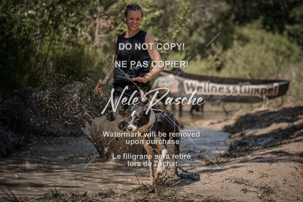 nelerasche_Hoope2026_Sa1430-1500_26 | nelerasche