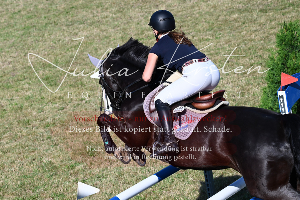 DSC_2469 | Pferde- und Turnierfotografie in Westsachsen. Pferdeportraits, Auftragszeichnungen und intuitive Kunst.