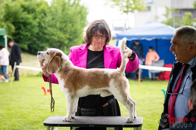 Clubsiegershow BCS  | Clubsiegershow BCS in Villmergen. 14.05.2023 Foto: Leo Wyden