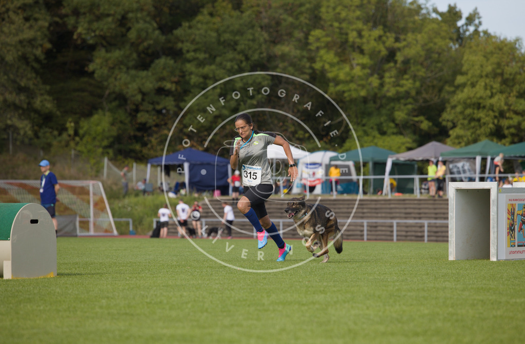 0L8A3748 | Hundefotografie, Tierfotograf, Pfotenfotografie, Fotoshooting Hund, Hunde Portrait, Hundesport, Hundeportraits, Heideshooting, Hunde, Sportfotograf, Hundefotograf, Turnierhundsport, THS,  - Realisiert mit Pictrs.com