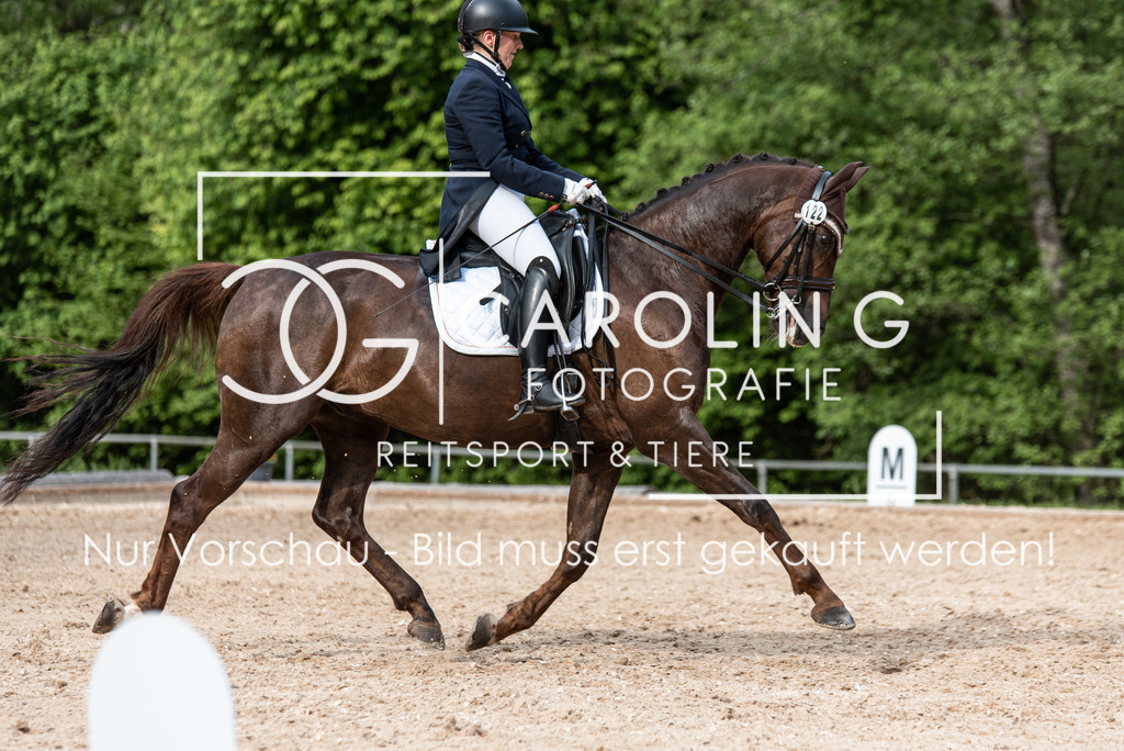 DSC_4282 | Turnierfotografin Carolin Gieschke, Turnierfotografie Carolin G Fotografie, Turnierfotos Kirchheim/Teck, Esslingen, Stuttgart, Bodenseekreis