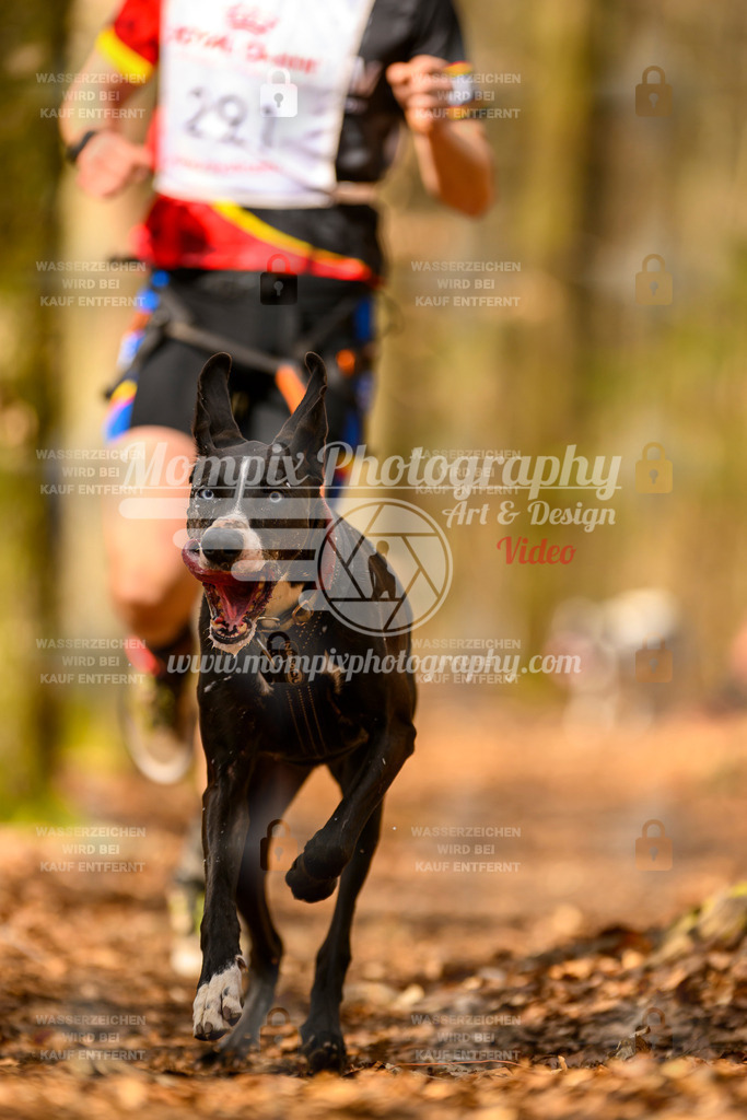MompixPhotography_Habay2025_SA_CCC-89 | PayLife