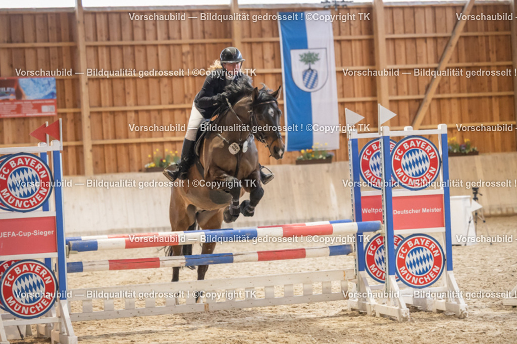 _D5A8022 | Emotionale Pferde- & People-Fotografie rund um Heidelberg, Leimen & Umgebung. Natürliche Fotos von Pferd, Mensch & Familie. Jetzt Termin sichern!