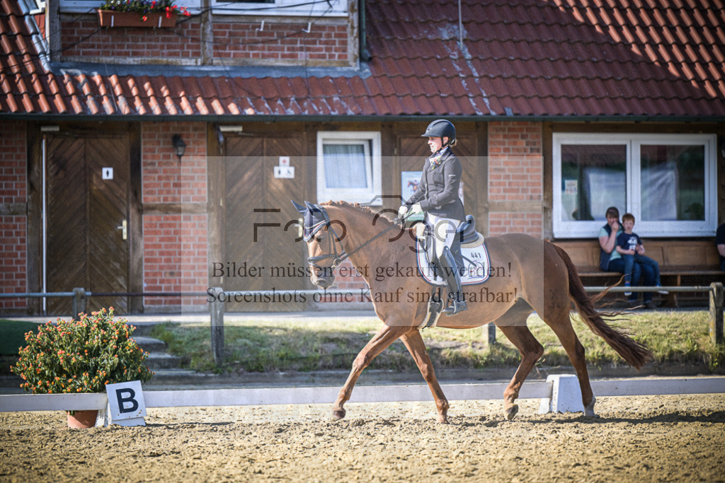 DOS_0918 | Entdecke hochwertige Reitturnierfotos von Foto Oger. Professionell, emotional und authentisch – jetzt Lieblingsmomente im Shop bestellen.Deutschlandweite Turnierfotografie. - Realisiert mit Pictrs.com