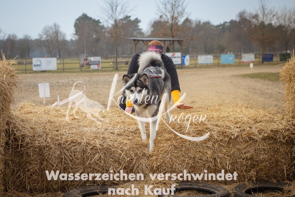 1002_ZZ91981 | kk-dogfotos