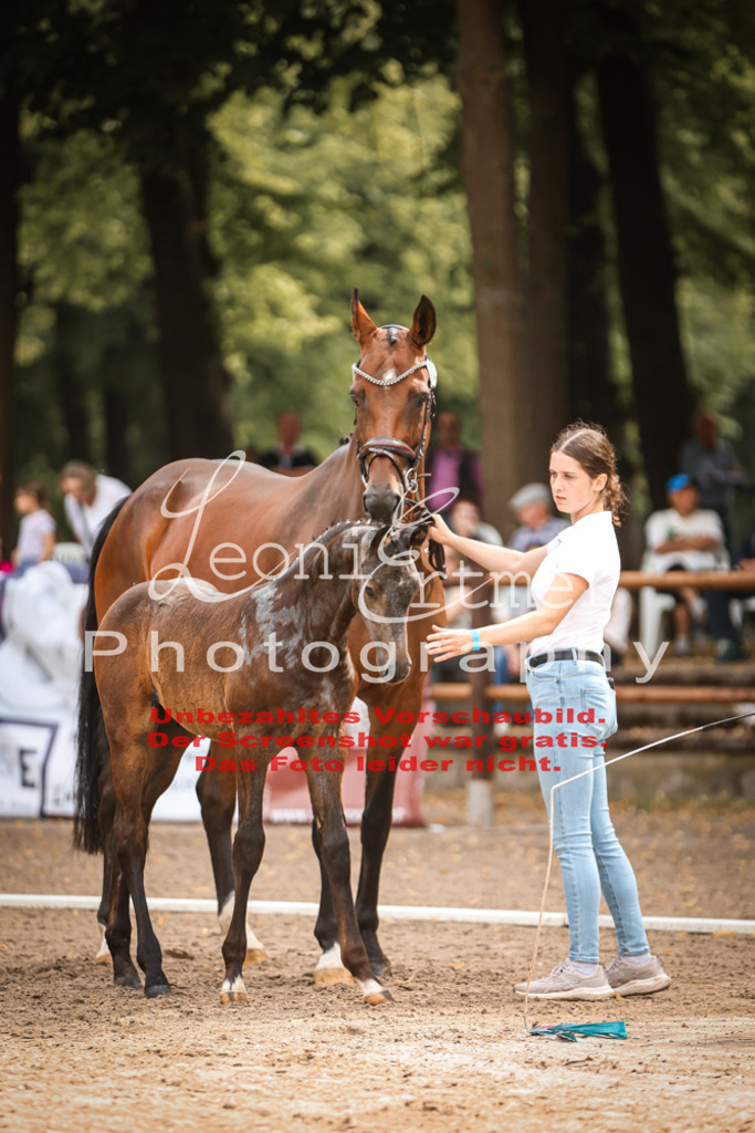 SaFohlen00040 | Leoni Ertmer Photography - Realisiert mit Pictrs.com