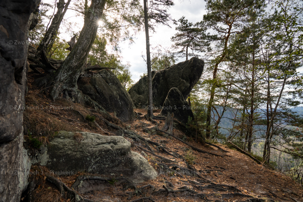 Obere_Affensteinpromenade_Winterbergspitze_Felsblock_Wurzel | 2022-09-02_Waldbrandgebiete_2 - Realisiert mit Pictrs.com
