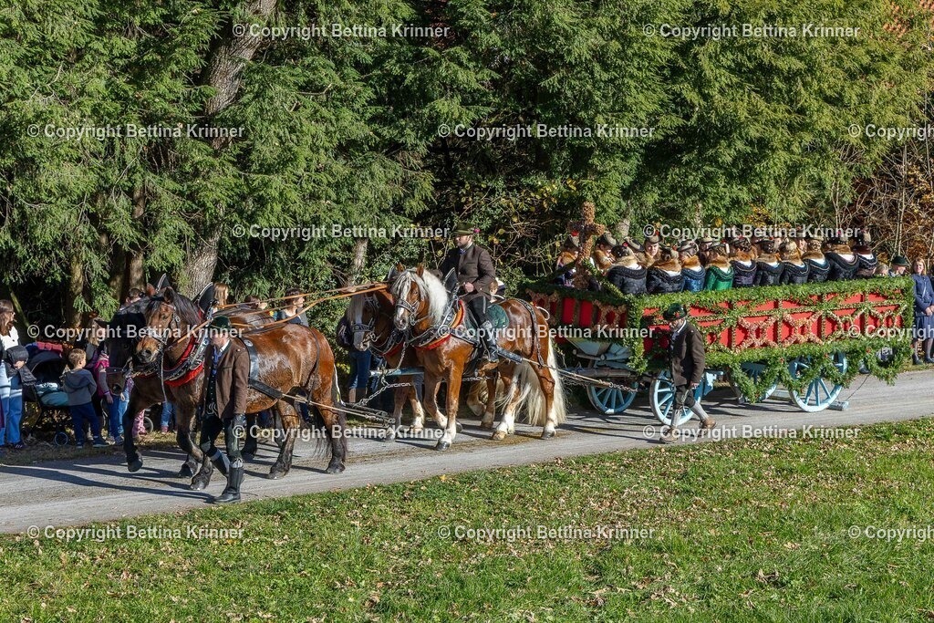 LBT25-653 | foto-bettina-krinner - Realisiert mit Pictrs.com