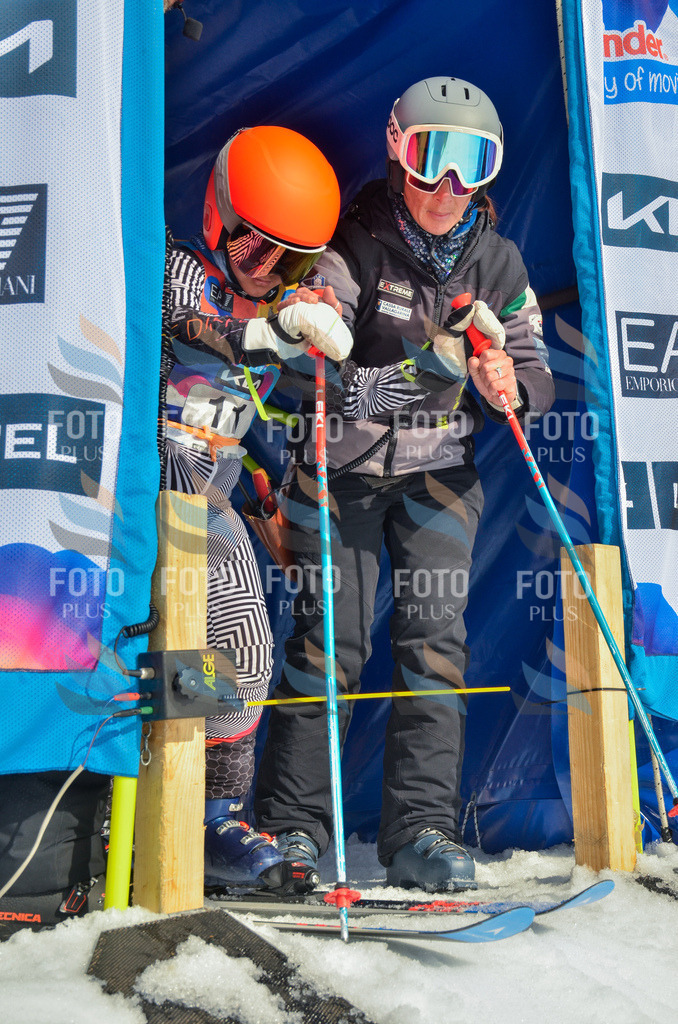 _ELE4562 | holidayphoto