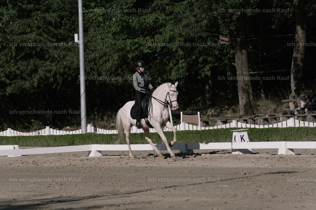 WM_DR_76_sinafilmart_IN04510 | working equitationturnier fotograf videograf stoibphotography marixx film working equitation deutschland reitsport turnierfotografie eventfotografie equestrian events