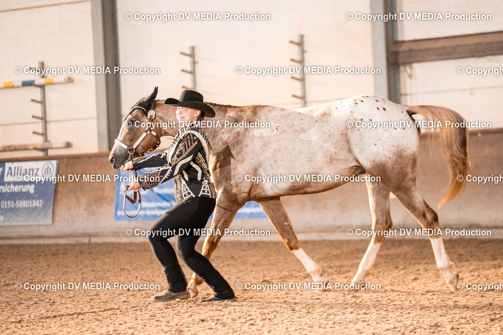 LM Heiligenwald Tag 1-45 | dv-media-shop - Realisiert mit Pictrs.com