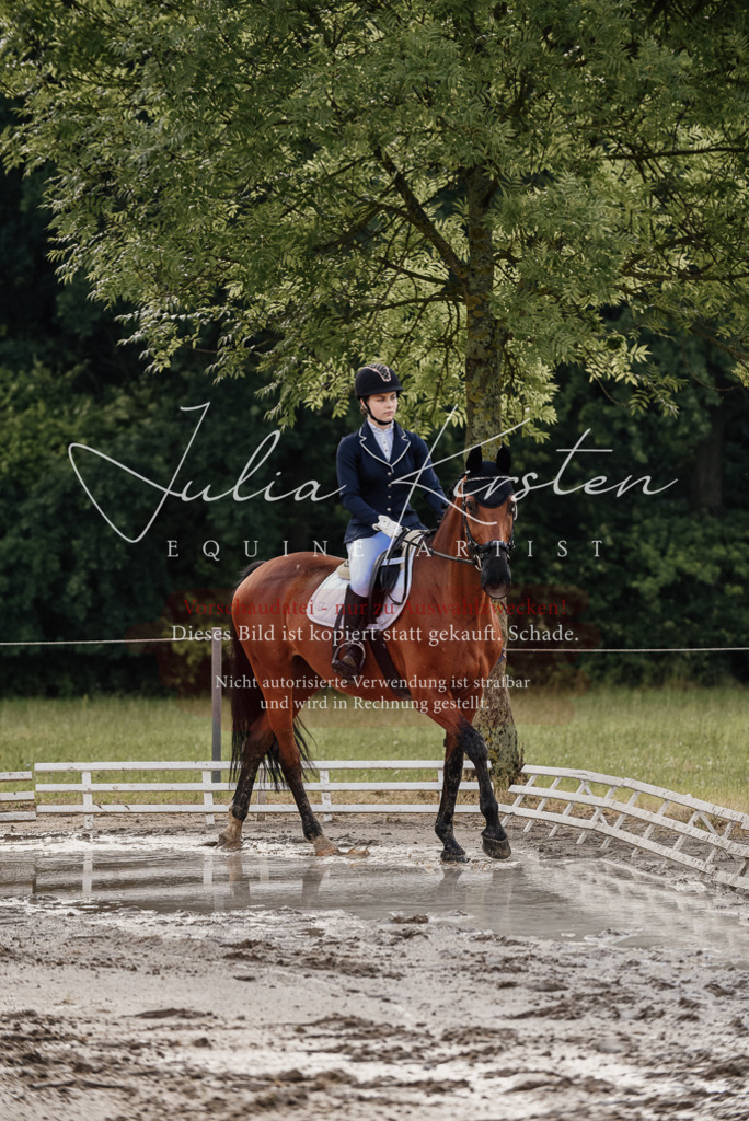 DSC_8423 | Pferde- und Turnierfotografie in Westsachsen. Pferdeportraits, Auftragszeichnungen und intuitive Kunst.