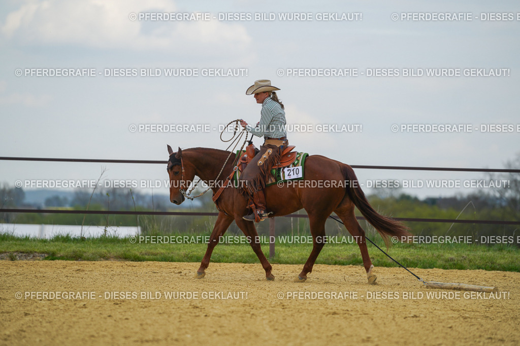 DSC06898 | Pferdegrafie