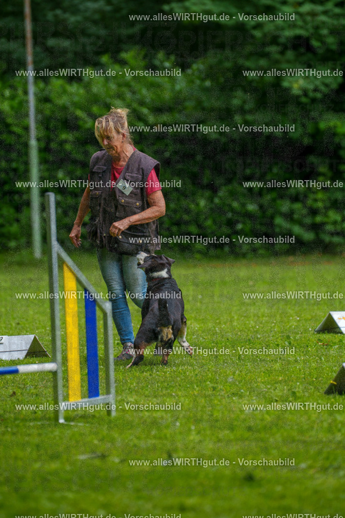 @allesWIRTHgut_Tierfotografie - www.allesWIRTHgut.de - 7R503395 | Professionelle Tierfotografie in Mönchengladbach von Daniel Wirth (allesWIRTHgut). Liebevolle & natürliche Bilder von Hunden & Katzen für unvergessliche Erinnerungen.