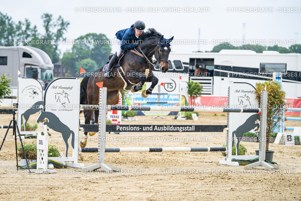 DSC09520 | Pferdegrafie