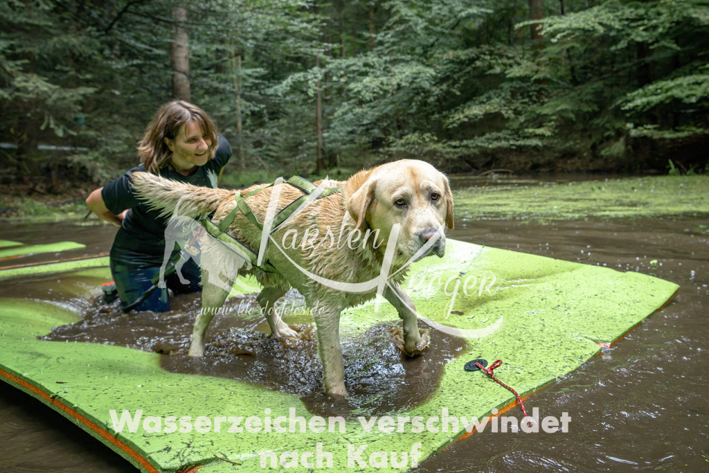 1511_ZZ94627-Bearbeitet | kk-dogfotos