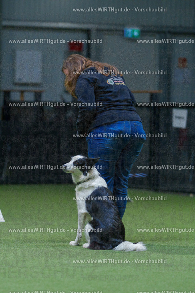 7R501399 | Professionelle Tierfotografie in Mönchengladbach von Daniel Wirth (allesWIRTHgut). Liebevolle & natürliche Bilder von Hunden & Katzen für unvergessliche Erinnerungen.