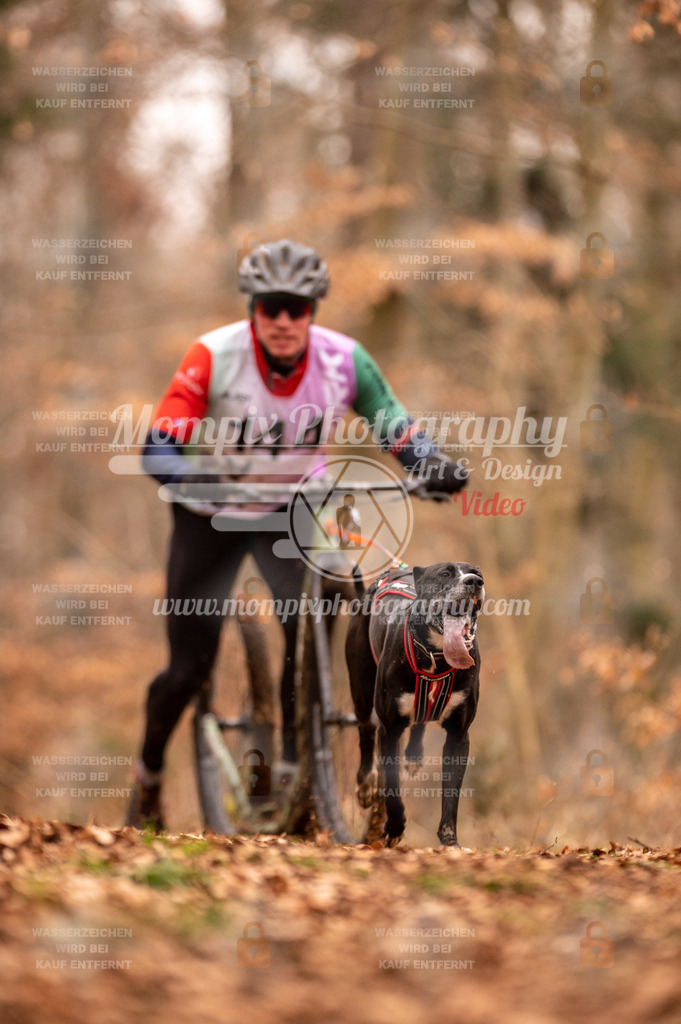 AKM_ST_2023_SAM_Scooter-7 | PayLife