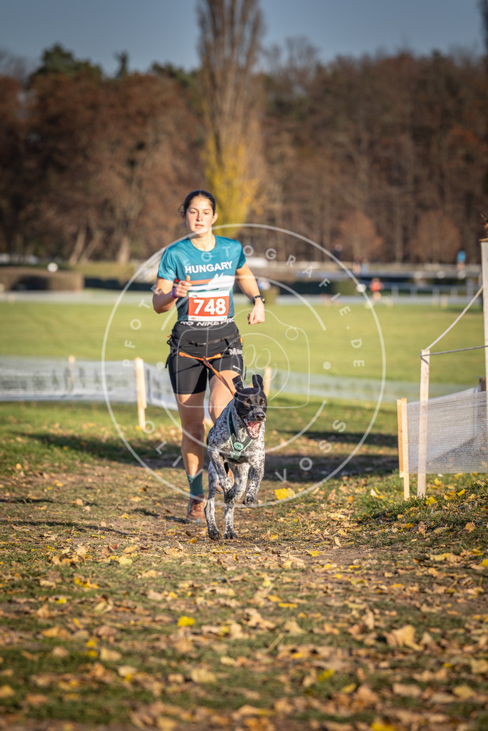 CaniXpix_DV3A2353 | Hundefotografie, Tierfotograf, Pfotenfotografie, Fotoshooting Hund, Hunde Portrait, Hundesport, Hundeportraits, Heideshooting, Hunde, Sportfotograf, Hundefotograf, Turnierhundsport, THS,  - Realisiert mit Pictrs.com