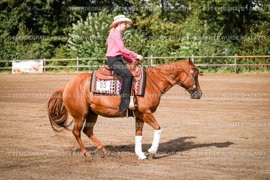 DSC09362 | Pferdegrafie