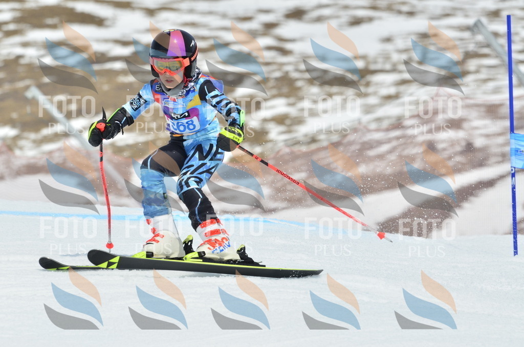 _ELE2981 | holidayphoto