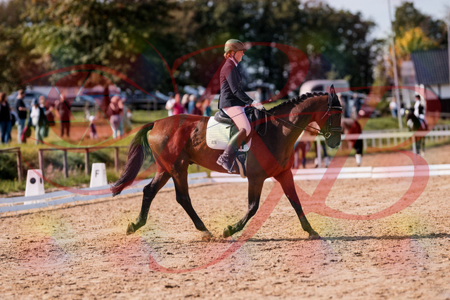 2026_10_03_Siefer-Hof_130219_Z81_55987739 | Professionelle Reitsport-, Turnier- und Eventfotografie von Robert Broda. Galerien mit ausgewählten und bearbeiteten Bildern direkt online ansehen und bestellen.