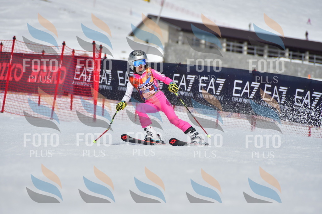 _DSC6798 | holidayphoto