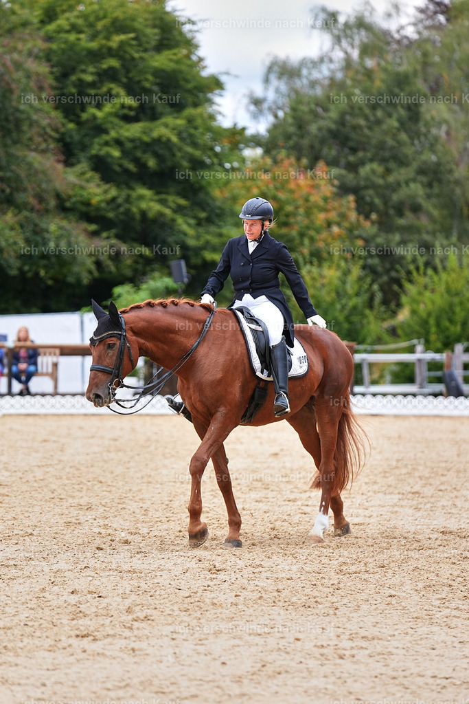 6-090-AMATUER-DRESSUR S_  -Marixx-3748 | working equitationturnier fotograf videograf stoibphotography marixx film working equitation deutschland reitsport turnierfotografie eventfotografie equestrian events