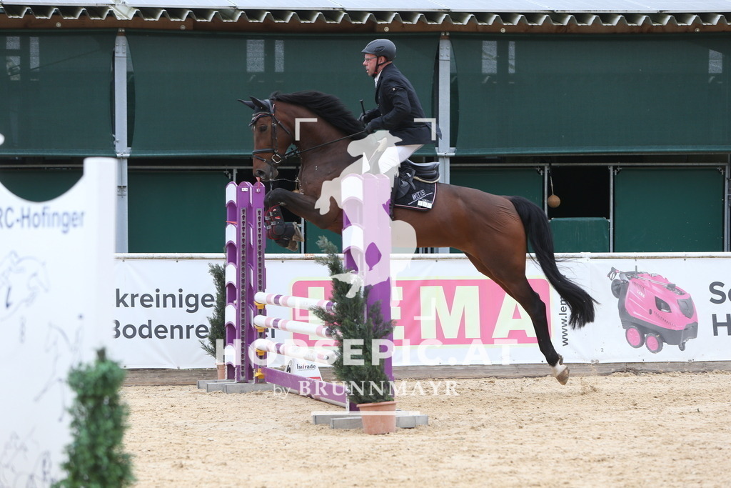 DL2Q0687 | Willkommen bei Brunnmayr - Design & Fotografie – Ihrem Spezialisten für Reitturniere und Pferdeveranstaltungen in Oberösterreich, Salzburg und Bayern! Seit über 17 Jahren sind wir leidenschaftlich dabei.