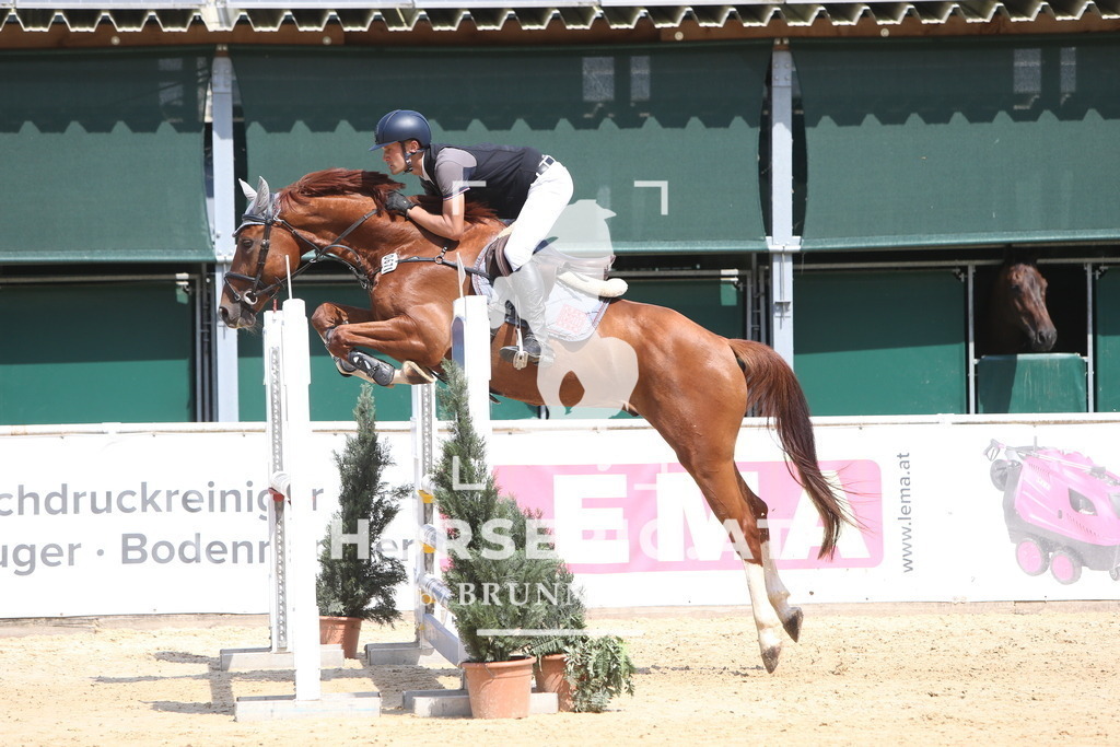 DL2Q0996 | Willkommen bei Brunnmayr - Design & Fotografie – Ihrem Spezialisten für Reitturniere und Pferdeveranstaltungen in Oberösterreich, Salzburg und Bayern! Seit über 17 Jahren sind wir leidenschaftlich dabei.