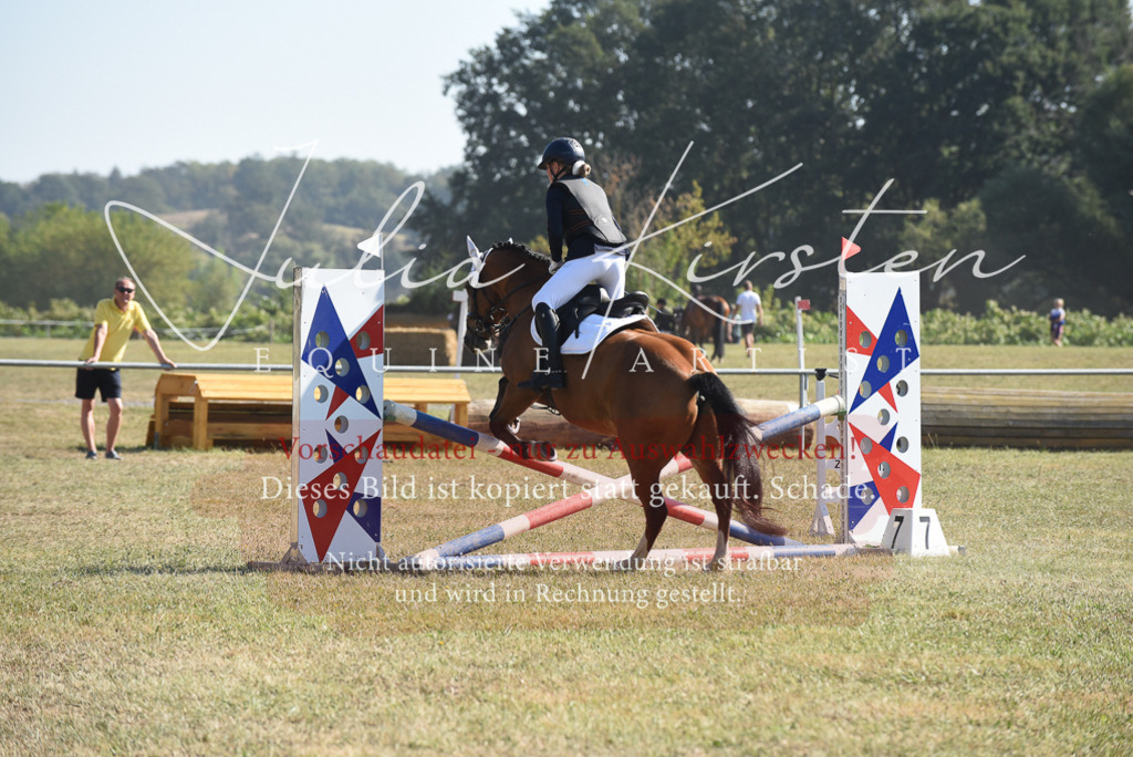 DSC_6027 | Pferde- und Turnierfotografie in Westsachsen. Pferdeportraits, Auftragszeichnungen und intuitive Kunst.