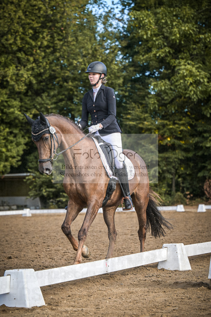 DOS_0267 | Entdecke hochwertige Reitturnierfotos von Foto Oger. Professionell, emotional und authentisch – jetzt Lieblingsmomente im Shop bestellen.Deutschlandweite Turnierfotografie. - Realisiert mit Pictrs.com