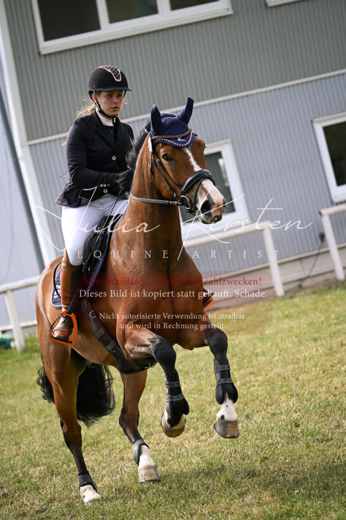 DSC_0917 | Pferde- und Turnierfotografie in Westsachsen. Pferdeportraits, Auftragszeichnungen und intuitive Kunst.