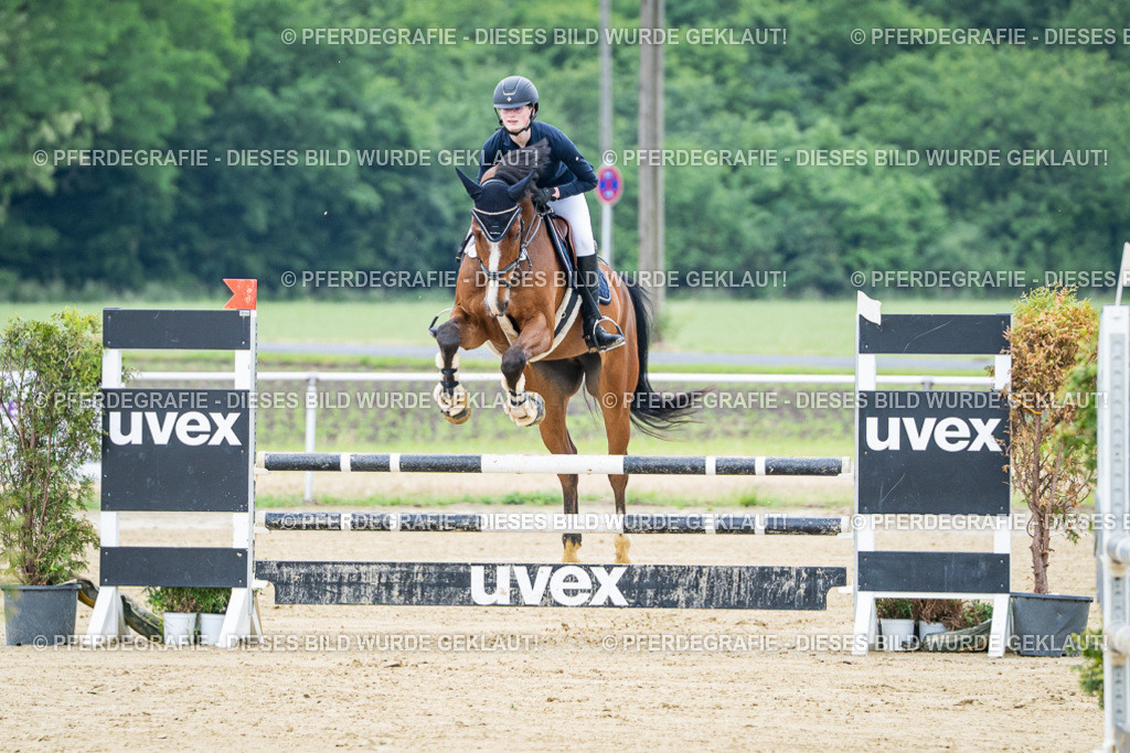 DSC03426 | Pferdegrafie