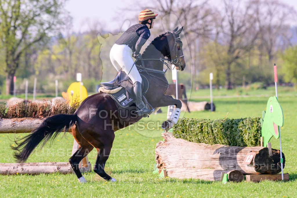 18042026-Gernlinden-02-0494 | Fokus Hufschlag Fotografie - Realisiert mit Pictrs.com