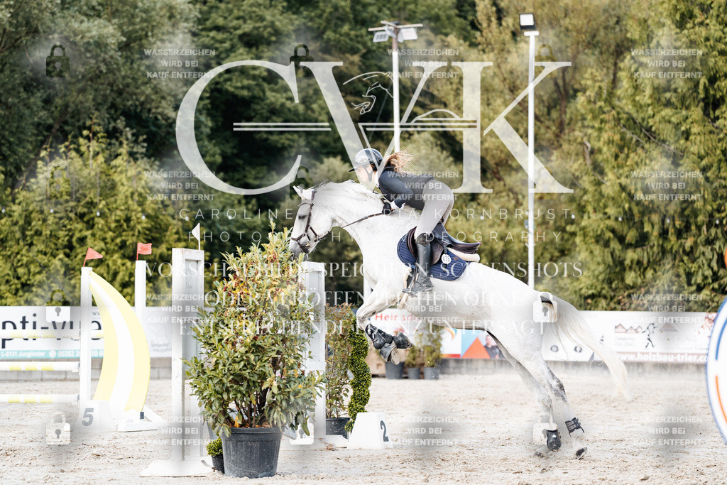 CK903879 | Turnierfotografie Pferdefotografie Trier Rheinland-Pfalz Pferdesport Reitsport Tierfotografie Sportfotografie Pferdevideo Pferdevideografie Equestrianvideography equestrianphotography  - Realisiert mit Pictrs.com